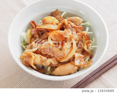 豚丼 豚丼 15634689