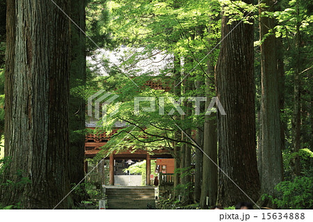 光前寺参道 光前寺参道 15634888