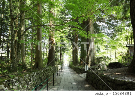 光前寺参道 15634891