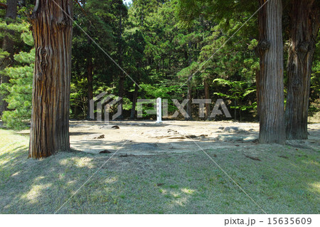 平泉 毛越寺境内・嘉祥寺跡 平泉 毛越寺境内・嘉祥寺跡 15635609