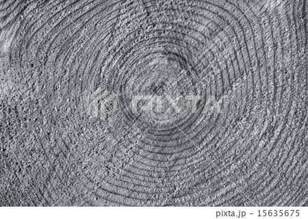 Wood rings texture background. 15635675