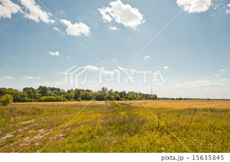 Landscape summer. 15635845