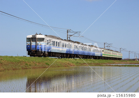 初夏の越後線115系（6両編成） 15635980