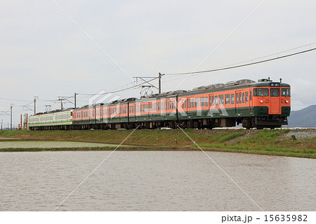 越後線115系(7両編成) 越後線115系(7両編成) 15635982