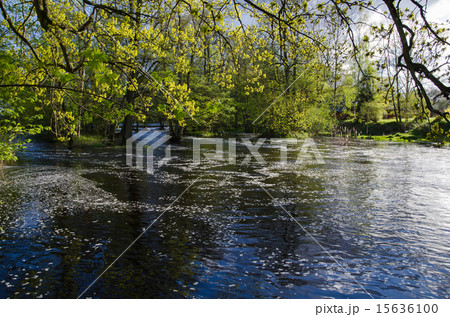 Springtime at the river 15636100