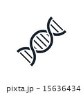icon DNA 15636434