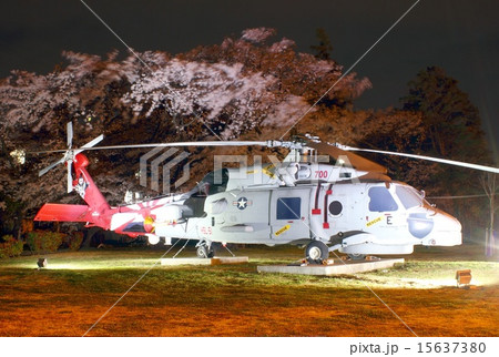 米海軍厚木基地アライアンスパークに展示されているSH-60B対潜ヘリと満開の桜の夜景 米海軍厚木基地アライアンスパークに展示されているSH-60B対潜ヘリと満開の桜の夜景 15637380