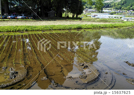 田園風景 高森町 15637625