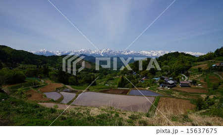 信州大岡と北アルプスの残雪 15637675