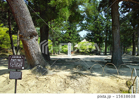 平泉　毛越寺境内・金堂円隆寺跡 15638638