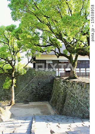 熊本城 熊本城 15638958