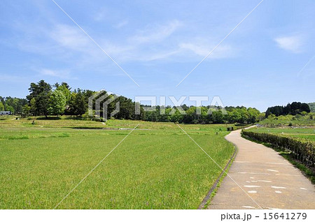 吉備路① 15641279