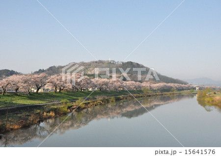 一目千本桜と船岡城址 15641576