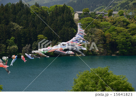 こいのぼり 15641823