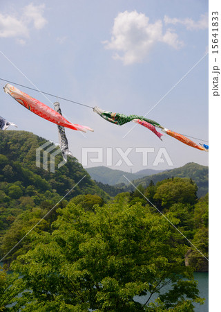 こいのぼり 15641833