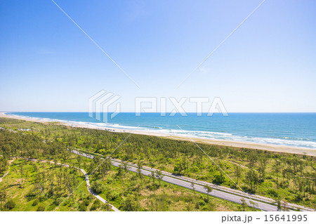 高度50mからきれいな海岸と道路をを空撮 15641995