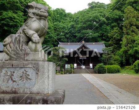 白子熊野神社 白子熊野神社 15642526