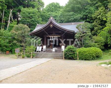 白子熊野神社 白子熊野神社 15642527