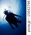 ダイビング 15642796