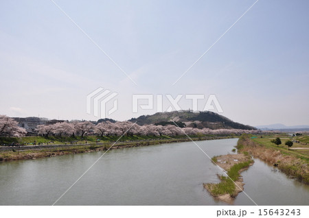 一目千本桜と船岡城址 15643243