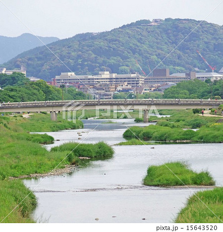 鴨川と左大文字 鴨川と左大文字 15643520