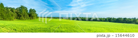 summer landscape a panorama with a field and sky summer landscape a panorama with a field and sky 15644610