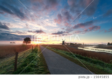 beautiful sunrise on dutch farmland with windmill 15645855