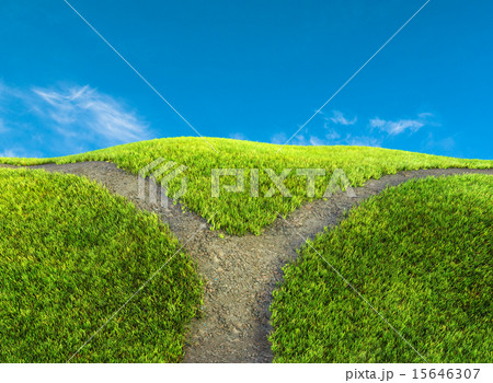 choice at road c 15646307