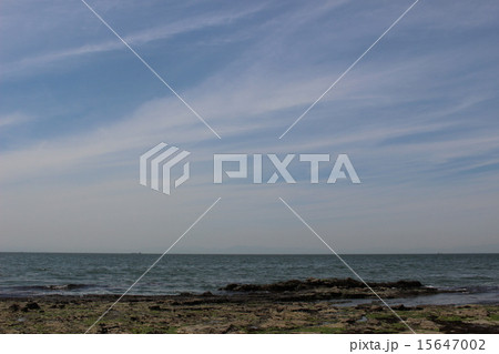 知多の海 知多の海 15647002