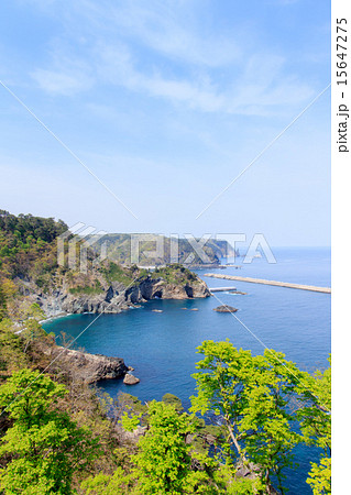 岩手県　陸中海岸国立公園　熊の鼻 15647275
