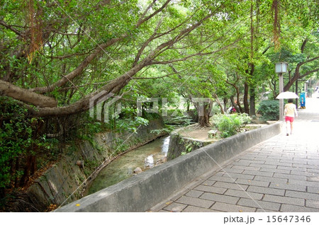 新北投 公園歩道 新北投 公園歩道 15647346