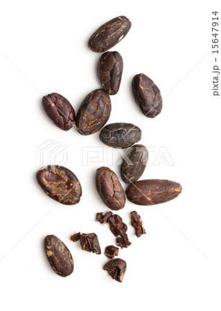 cocoa beans cocoa beans 15647914
