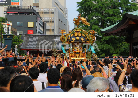 三社祭の御神輿 15648801
