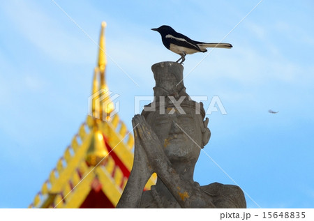 ワットポーの石像と小鳥 15648835
