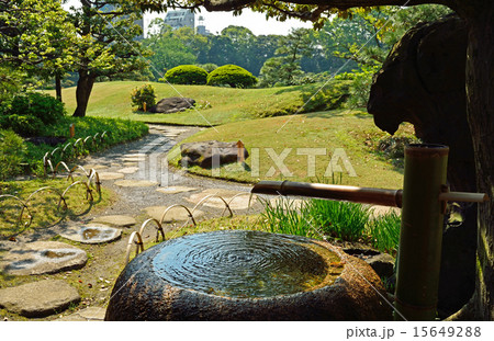 清澄庭園：なつめ水鉢 15649288