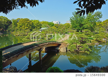 清澄庭園:中の島に架かる橋 清澄庭園:中の島に架かる橋 15649300