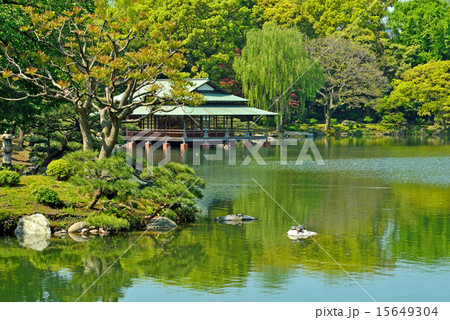 清澄庭園：中の島と涼亭 15649304