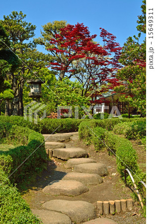 清澄庭園：回遊式林泉庭園 15649311