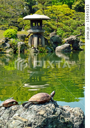 清澄庭園：雪見燈籠 15649315