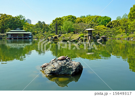 清澄庭園：大泉水と涼亭 15649317