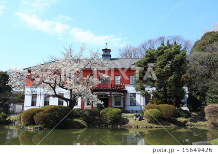 小石川植物園 15649426