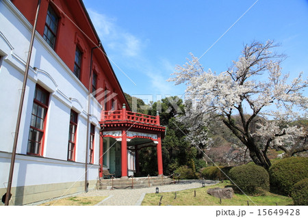 小石川植物園 15649428