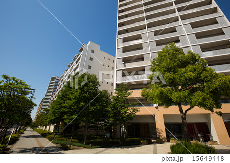 マンション マンション 15649448
