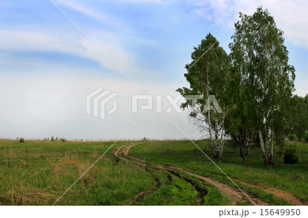 The dirt road 15649950