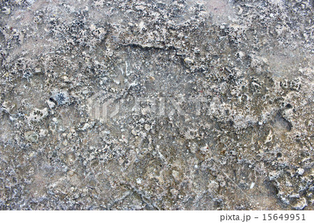 The flat stone slab 15649951