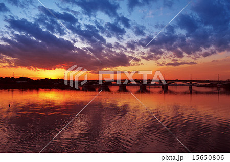 手賀沼の夕日 15650806