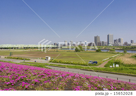 荒川土手のフラワーアートと川口の街並みの写真素材