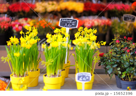 Beautiful flowers sold on outdoor flower shop 15652396