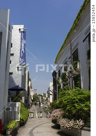 ウラハラの風景 15652454