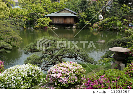 新緑の神戸相楽園 15652567